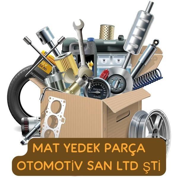 VITES KUTUSU BEYNI